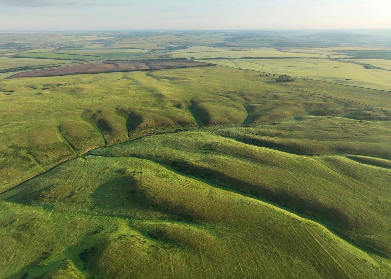 Сразу 60 памятников природы Самарской области получили охранные зоны по распоряжению губернатора Вячеслава Федорищева Сразу 60 памятников природы Самарской области получили охранные зоны по распоряжению губернатора Вячеслава Федорищева