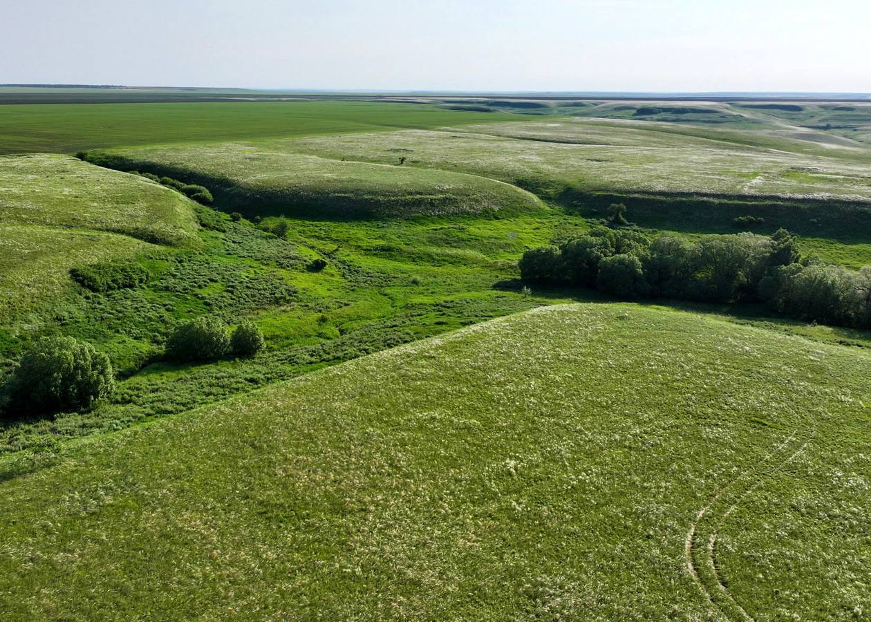 Сразу 60 памятников природы Самарской области получили охранные зоны по распоряжению губернатора Вячеслава Федорищева Сразу 60 памятников природы Самарской области получили охранные зоны по распоряжению губернатора Вячеслава Федорищева
