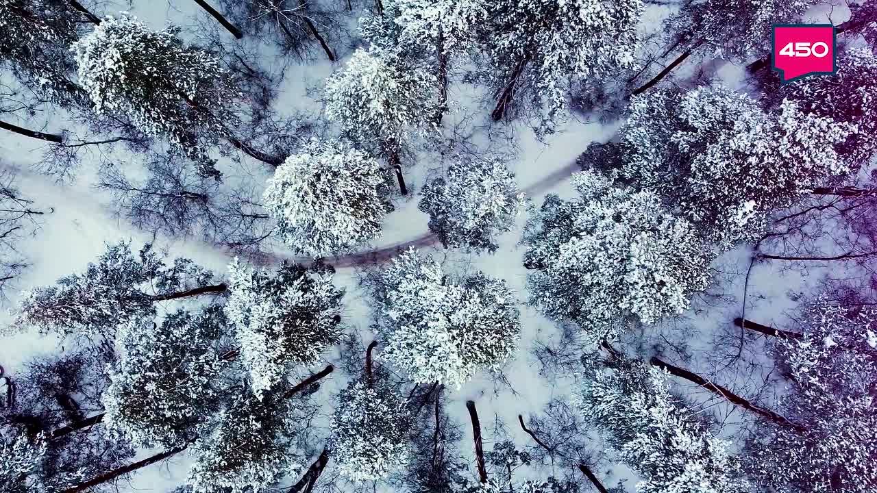 Заснеженная Самара. Любуемся вместе