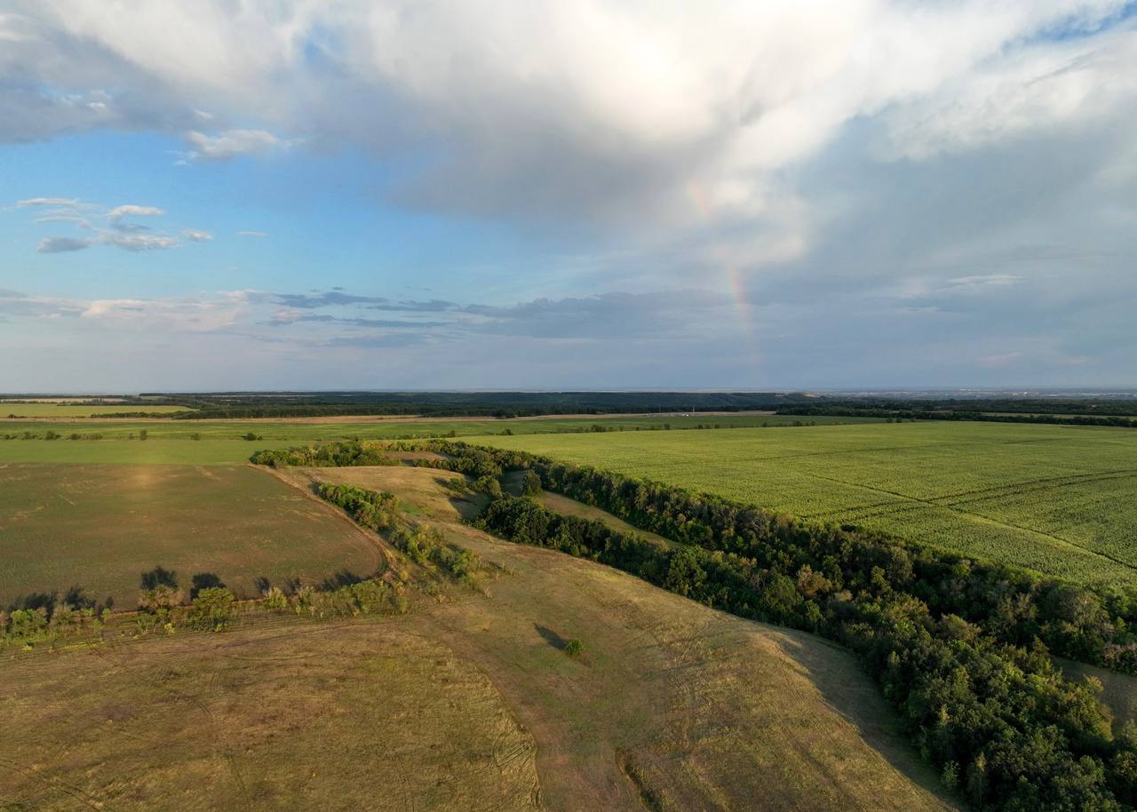 Сразу 60 памятников природы Самарской области получили охранные зоны по распоряжению губернатора Вячеслава Федорищева Сразу 60 памятников природы Самарской области получили охранные зоны по распоряжению губернатора Вячеслава Федорищева