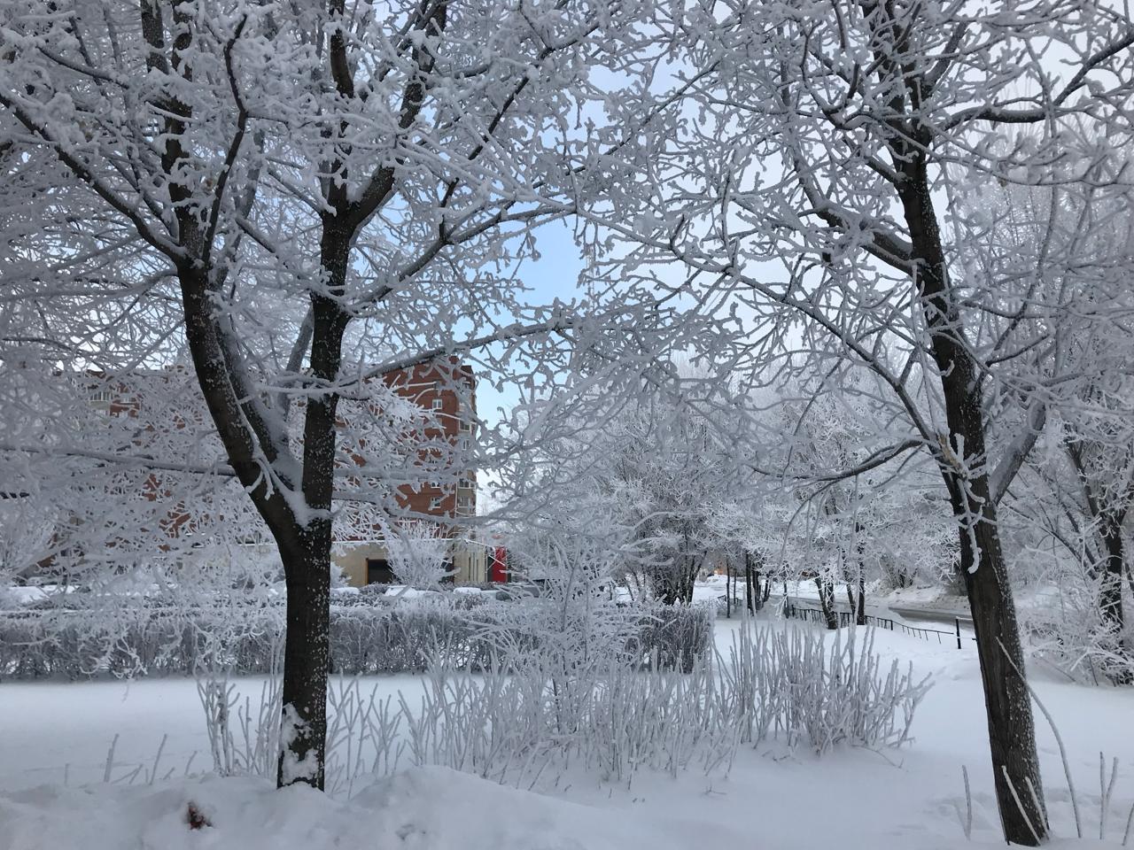 Плюсовая температура и снегопады придут в Самару к середине недели