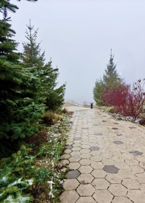 ������ ����, ������!. ������ ��������� ��� � ������������� ������! : �������� ����� ������ � �������