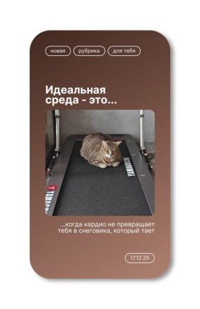 ������� ����, ����������!. ������ �� �� �� ������� �� ����������������?