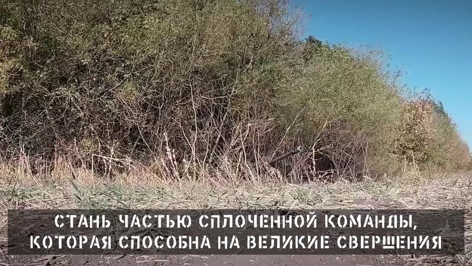 ������ �� ��������� � ��� ��������� � �������� ����� ���������� ������� ����� ������� ������