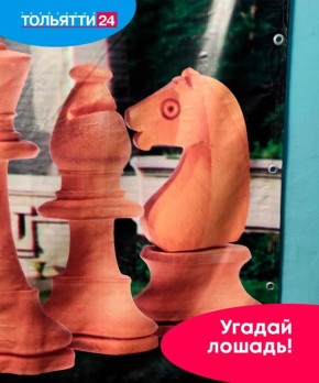 «Угадай лошадь!» Раскрываем секрет предыдущего фото в нашей игре