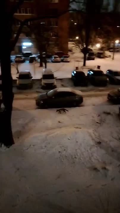 ���� � ��������. ����� �������� � ����� �� ������ � ������������� ������