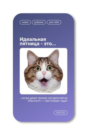 ����� ���� ��� ������������, ������� ��� � ��������� ��������� ����-���������: