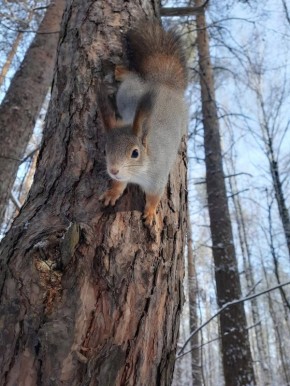 Доброе субботнее утро, Самара!