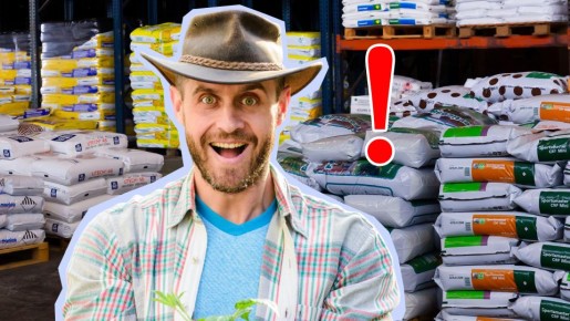 ������ ����� � ������� ���: ��� ����� ������ � ����������� ������ ���������