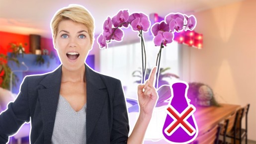 �������� ���� � ������� ������: �� ��������� �������� ���� ��������� �������� �������