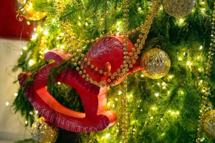 ��� �������� � ��������� ������� �� ���� ������? ���-5 �������: