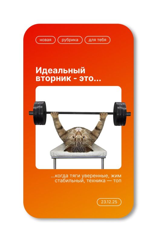 � ��� ������ ��������, �� ���� ���������� �������