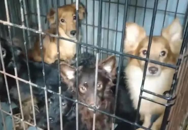 ��������� ������ 132 ���������� ������ �� �������� � ��������� �������