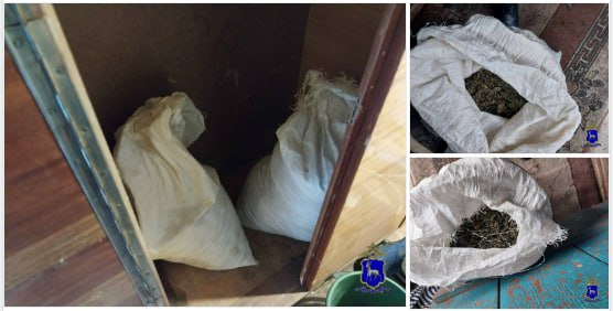 Полицейскими задержан ранее судимый сельский житель 1977г.р.: в его доме обнаружили и изъяли свыше 8кг конопли (ч.2 ст.228УКРФ)