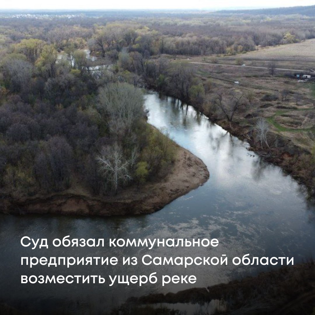Суд поддержал требования Росприроднадзора и обязал МУП ВКХ городского округа Похвистнево Самарской области возместить вред, причиненный водному объекту