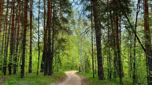 �������������� �������� �������� ������ ������� ����� � ������ �����������