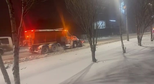 � ������ ����������� ����������� ���������