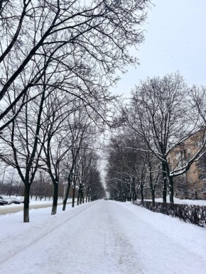 ������ ���������� ����, ��������