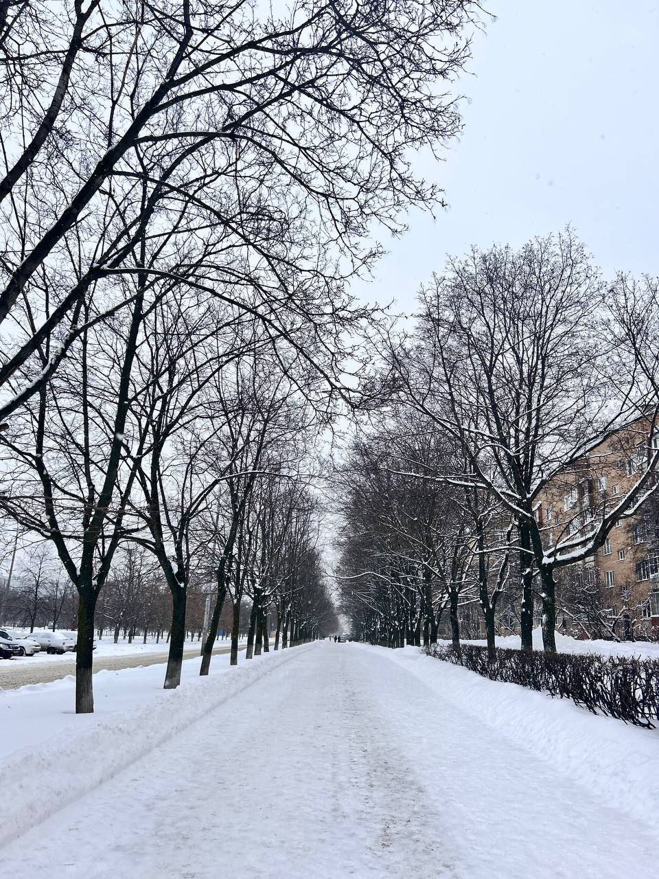 Доброе воскресное утро, Тольятти