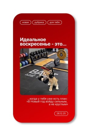 Хотите блистать в новогоднем наряде?