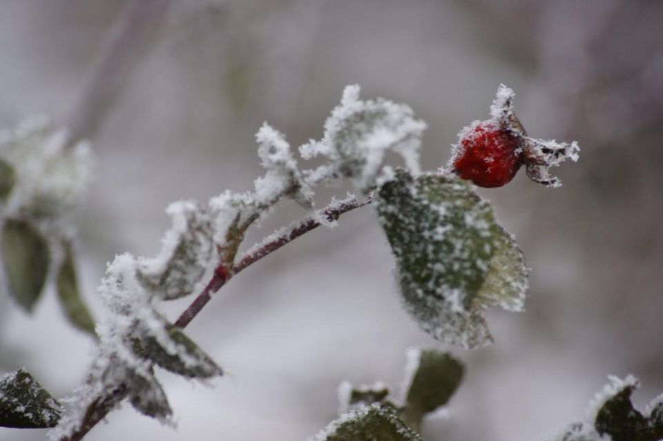 ����� ��������, ����� ������ ���� ������� ��������� ������� � ������ 2026 ����