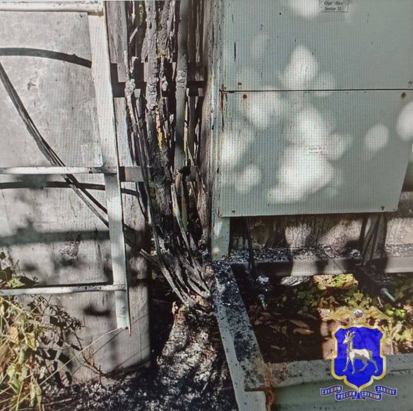 ����� ������� ������ ��������� ����������� ��������� �� ������ ������� �����