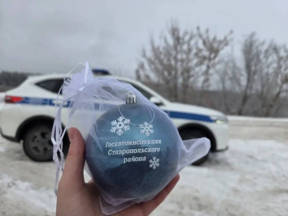 Документы проверяют, настроение поднимают!