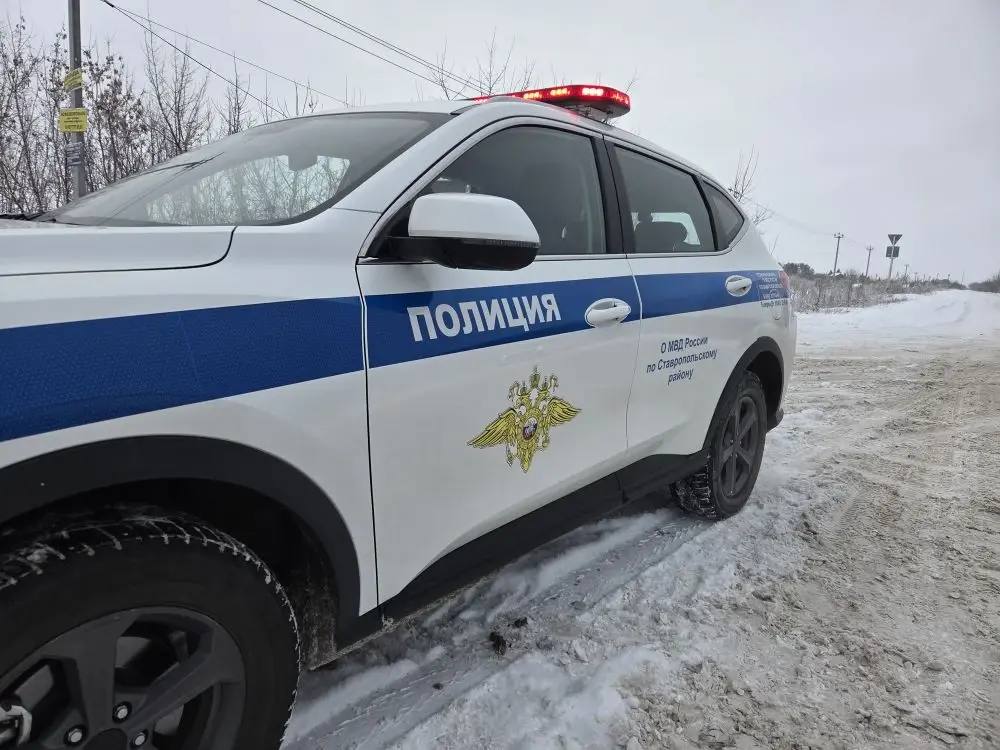 Документы проверяют, настроение поднимают! Документы проверяют, настроение поднимают!