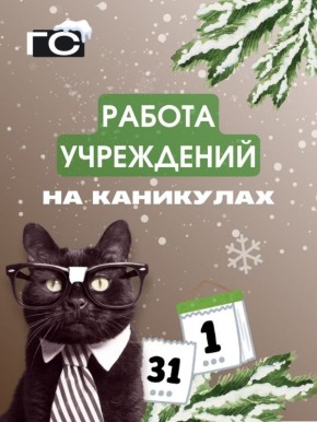 Собрали в одном посте информацию о работе учреждений в новогодние праздники: