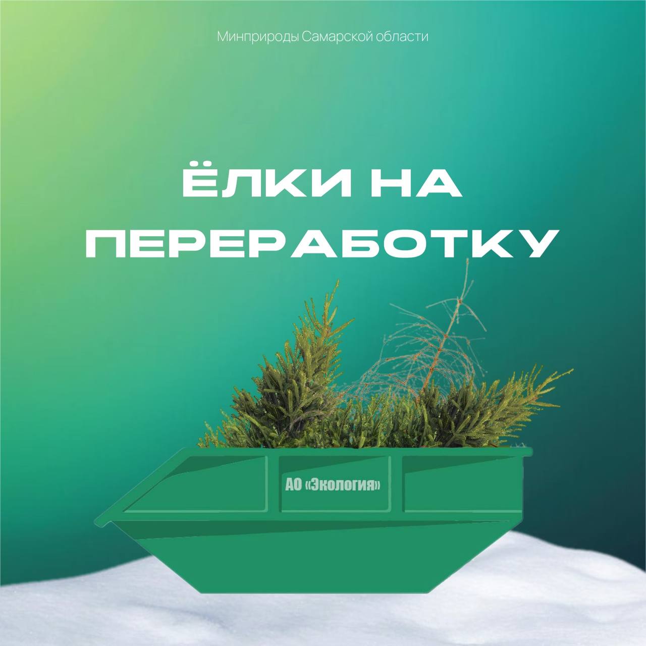 В Самаре организуют 20 площадок для сбора живых елей