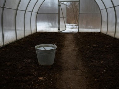 ��� ��������� ������ �������� �������� ������� �� �������: ������������ �����������