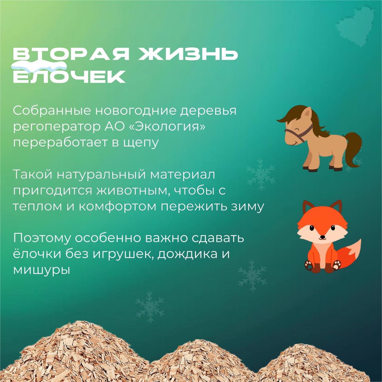 В Самаре организуют 20 площадок для сбора живых елей В Самаре организуют 20 площадок для сбора живых елей