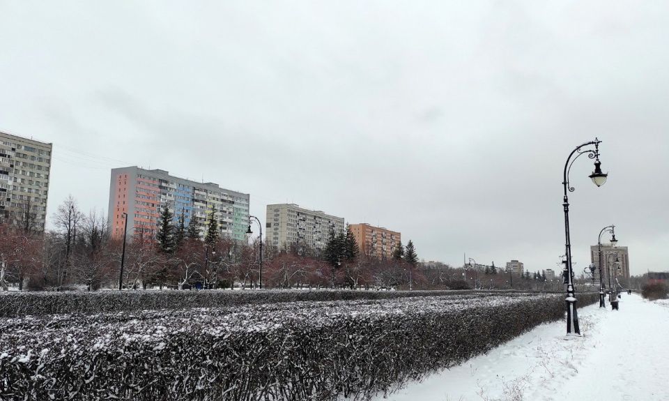 Какая погода в последний день года? Обыкновенная зимняя!