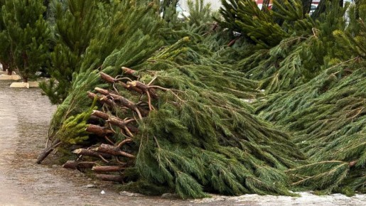 ����������� ���� � ������: ���� ����� ������� ����� ���������� � ��� ������ ��������