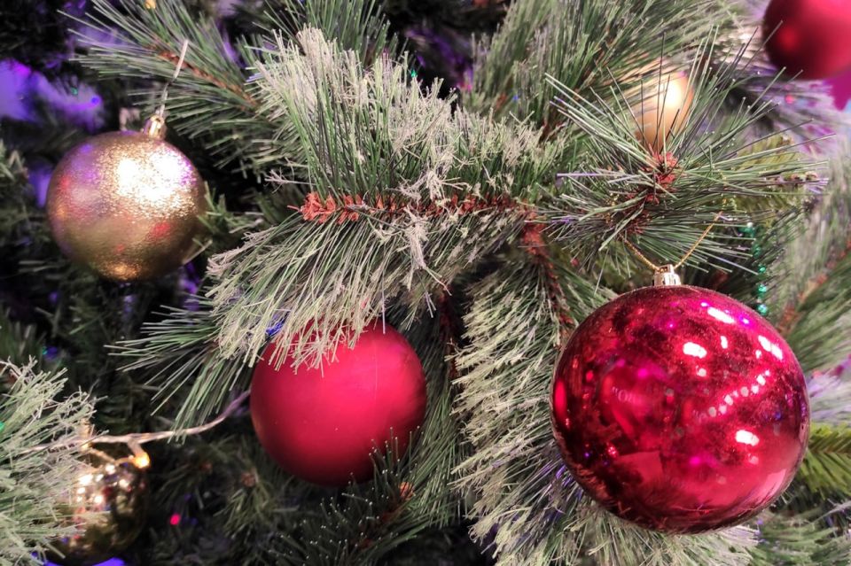 ������� ���� 2026 ����!. ������, ��� ��������� ����� ���? �������� � ������������! � �� �����, ��� ����� � ��������� ����� ������ ������ ���� ������� ������� ����? � ������ � 1947 ���� ���� 1 ������ ���������� ���� ���������...