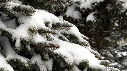 ��������� ������� � ��������� ��� ������� ����������� �����, � ����� ����� ���������