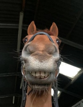 Всем только проснувшимся - доброе утро! Мы к вам с забавным