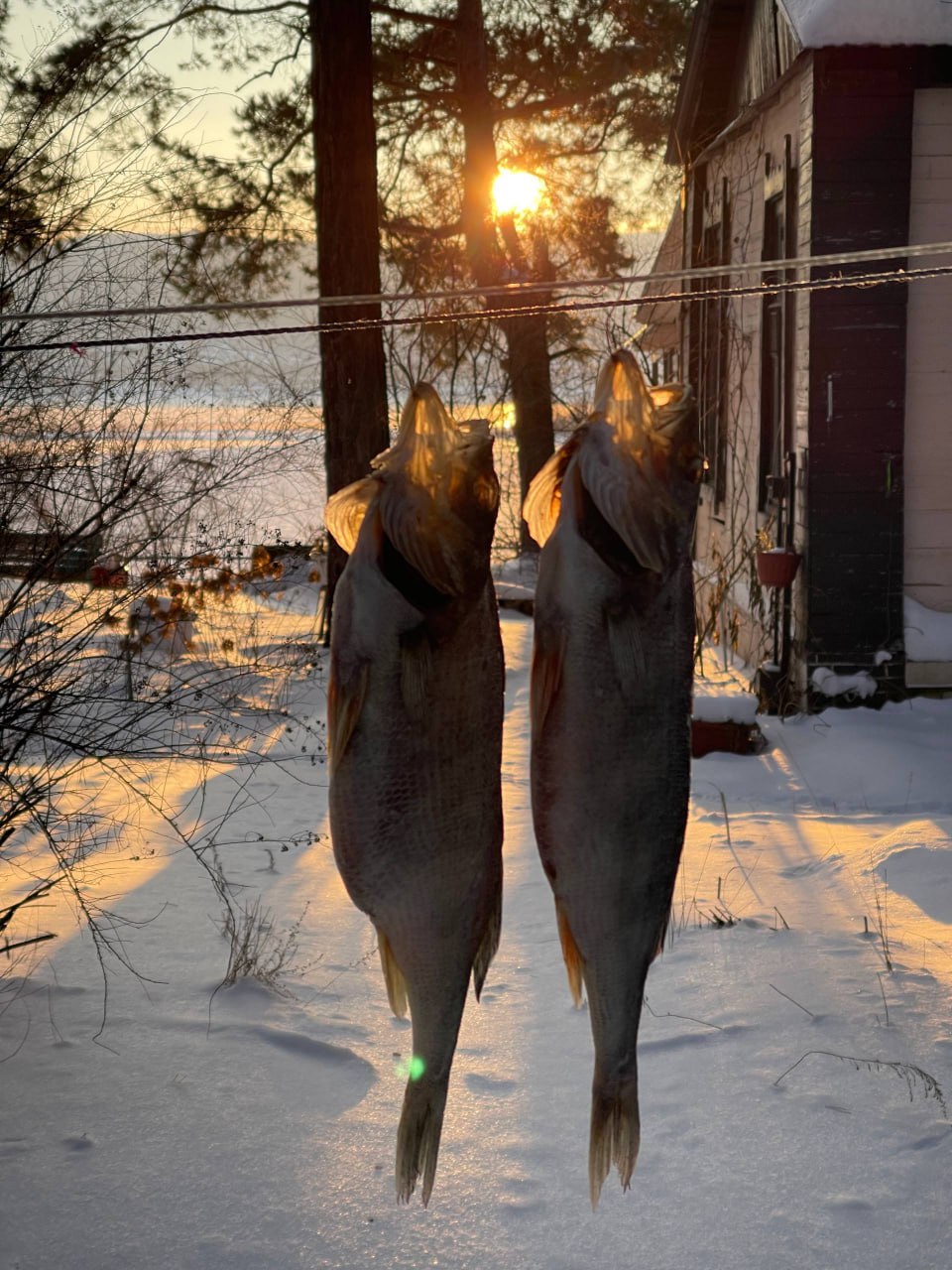 Жителям Самарской области показали «место силы», где черпают вдохновение сотрудники флагмана Главного медиахолдинга России Жителям Самарской области показали «место силы», где черпают вдохновение сотрудники флагмана Главного медиахолдинга России