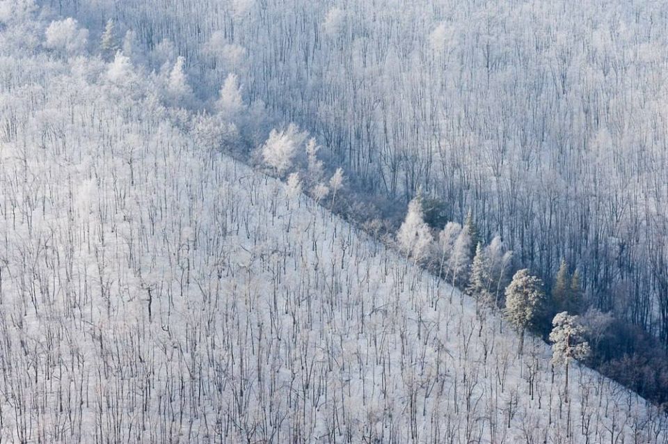 �� ����� �������! ����������� ������ ����������� ���