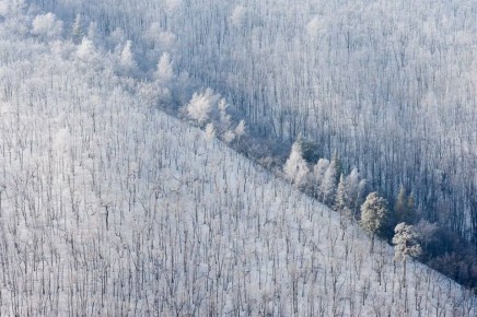 �� ����� �������! ����������� ������ ����������� ���