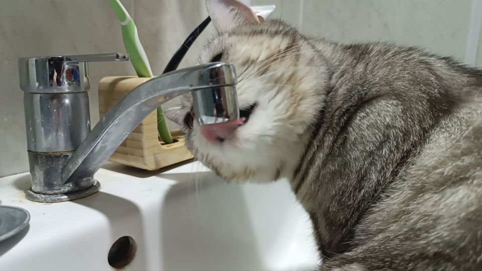 � ������ 2 ������ 4 ������ ��������� ��� �������� ����