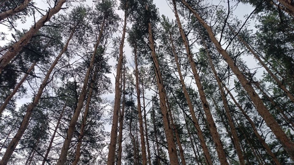 �������� ���������� ����� ����� ������ ������� � ��������� �������