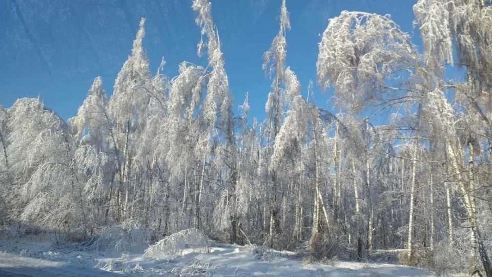 � ��������� ������� ������������ �������� ����������� "��������� � ����� ������"