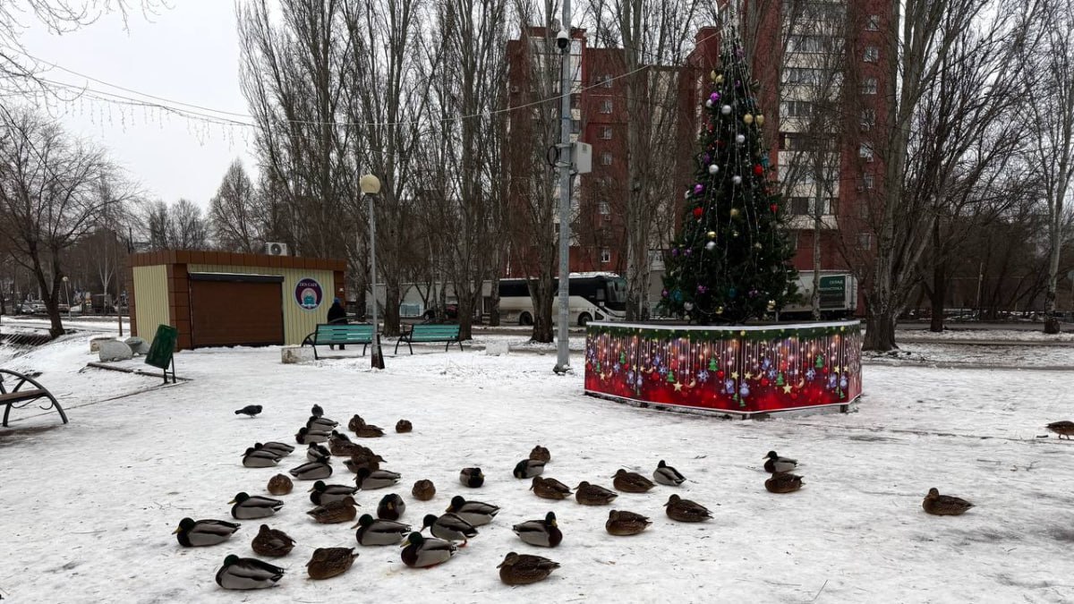 Жителям Самарской области показали «место силы», где черпают вдохновение сотрудники флагмана Главного медиахолдинга России Жителям Самарской области показали «место силы», где черпают вдохновение сотрудники флагмана Главного медиахолдинга России