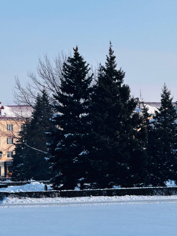 ��� �� ��������� �����: ������ ������� �� ������������ �����������