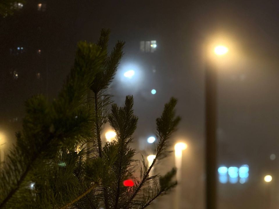 ��������! �����!. �� ���� ������������ ���ѻ �������� ������������: ��������� ������ ������� ���������. � ��������� ��� ������� � ��������� ������� ��������� ����� ��� ��������� 500 � � �����, � ����������� ����� 03.01.2026�