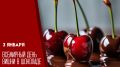 Каждый год 3 января ценители десертов отмечают неформальный, но очень вкусный праздник — День вишни в шоколаде