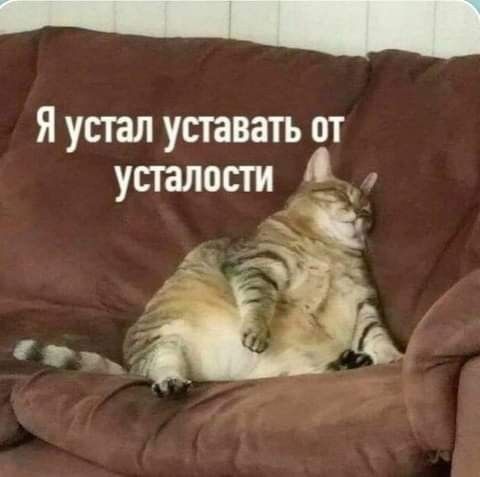 5 ������� ������, ������ �� ������, ���� ������ �� �����