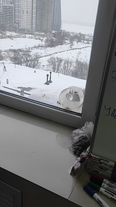 Милая белочка пришла за орешками!