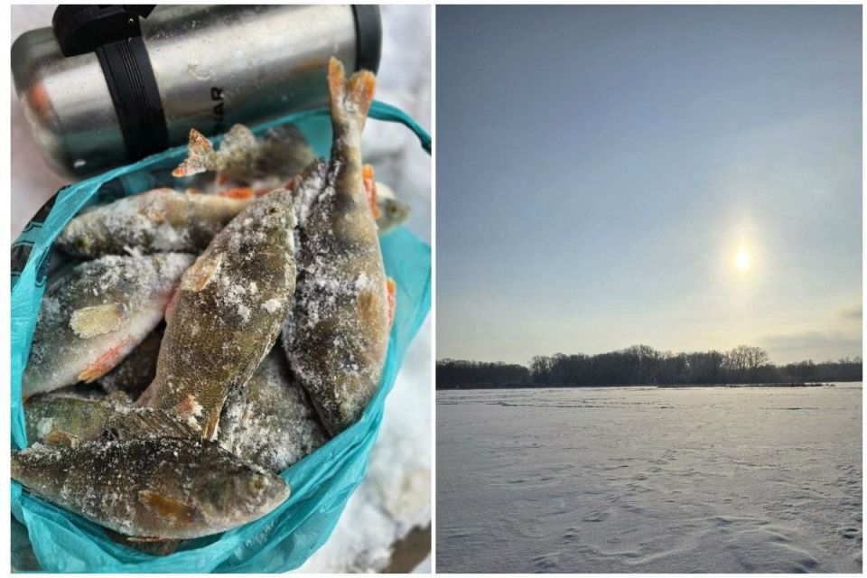 ��������� ����� ������ ����� �� ��������� ��������